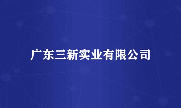 广东三新实业有限公司
