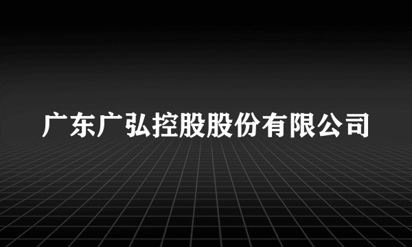 广东广弘控股股份有限公司