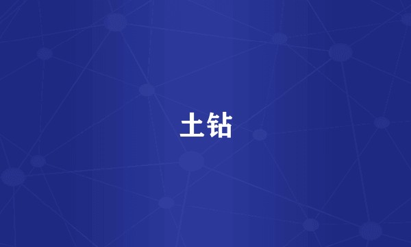 土钻