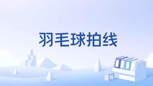 羽毛球拍线