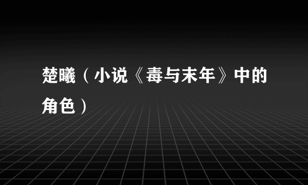 楚曦（小说《毒与末年》中的角色）