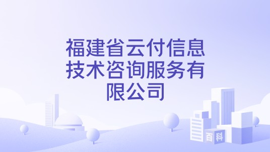 福建省云付信息技术咨询服务有限公司