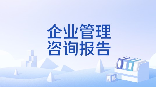 企业管理咨询报告