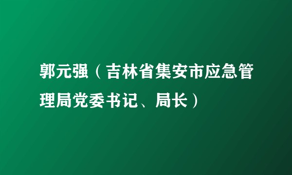 郭元强（吉林省集安市应急管理局党委书记、局长）