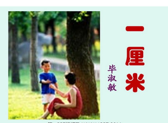 一厘米(毕淑敏创作的小说)
