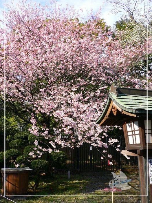 上野公园