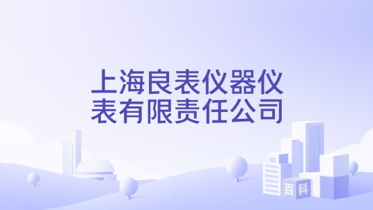 上海良表仪器仪表有限责任公司