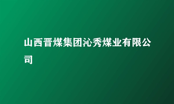 山西晋煤集团沁秀煤业有限公司