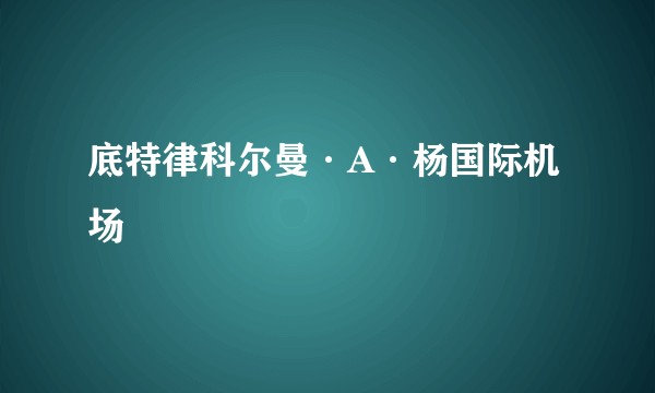 底特律科尔曼·A·杨国际机场