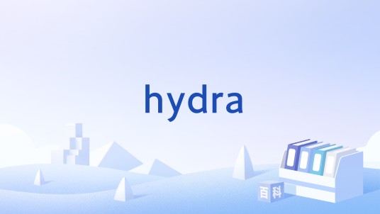 hydra（AddThis团队开发的分布式数据处理和存储系统）