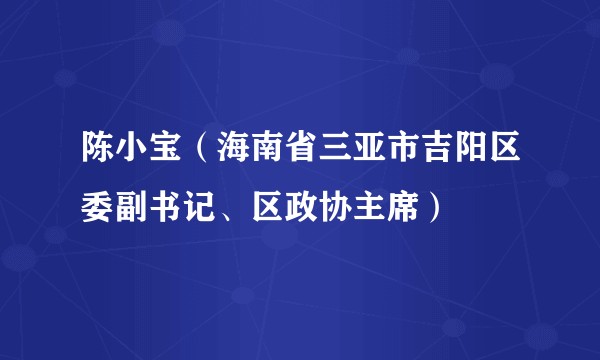 陈小宝(海南省三亚市吉阳区委副书记、区政协主席)