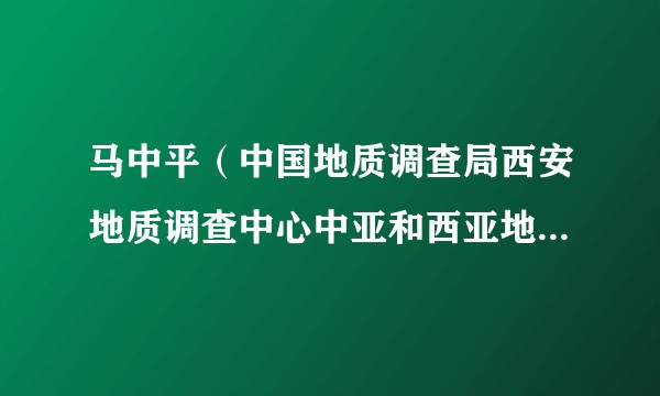 马中平（中国地质调查局西安地质调查中心中亚和西亚地质调查合作中心主任、境外地质室工程首席专家）