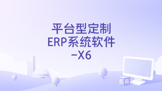 平台型定制ERP系统软件-X6
