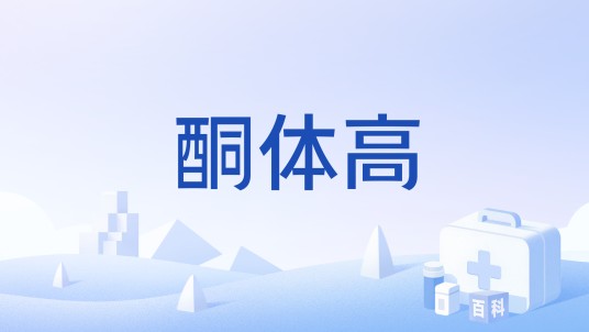 酮体高