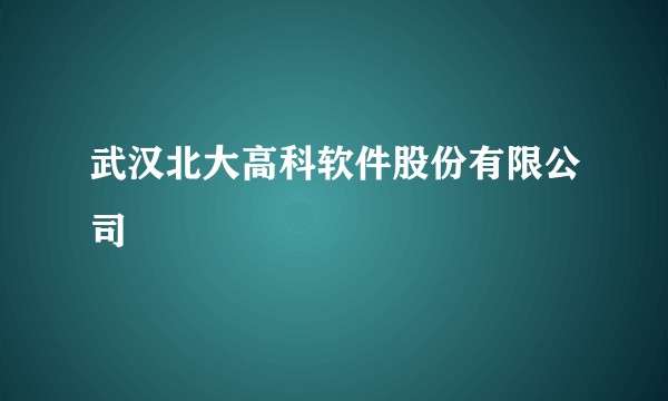 武汉北大高科软件股份有限公司