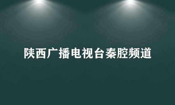 陕西广播电视台秦腔频道