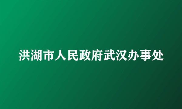 洪湖市人民政府武汉办事处