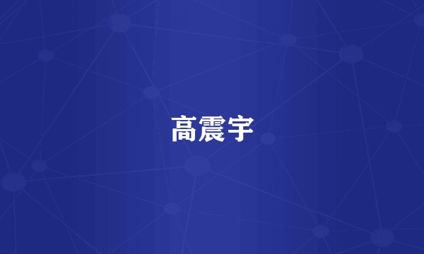 高震宇