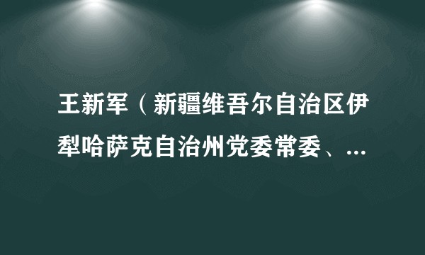 王新军(新疆维吾尔自治区伊犁哈萨克自治州党委常委、纪委书记,州监察委员会主任)