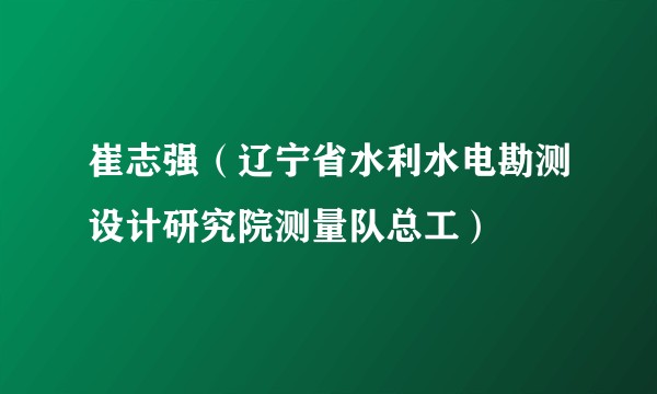 崔志强（辽宁省水利水电勘测设计研究院测量队总工）