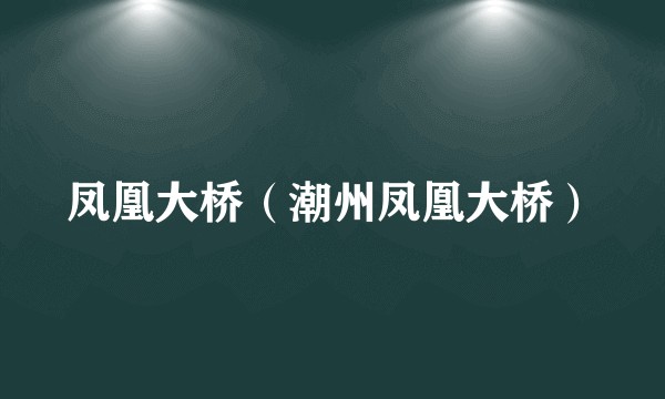 凤凰大桥（潮州凤凰大桥）