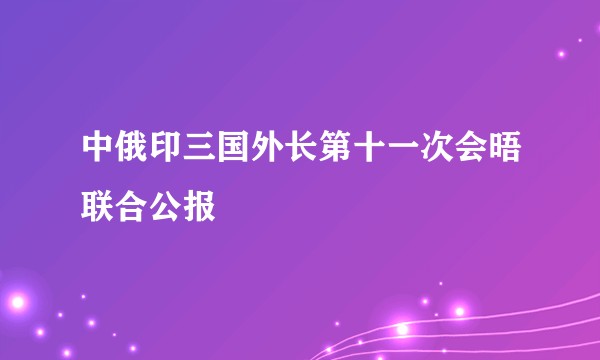 中俄印三国外长第十一次会晤联合公报