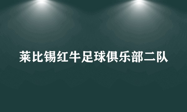 莱比锡红牛足球俱乐部二队