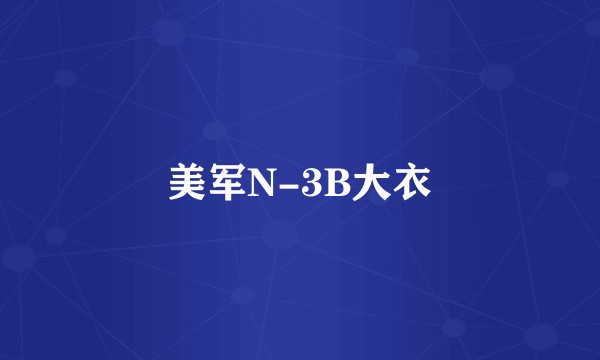 美军N-3B大衣