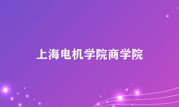上海电机学院商学院