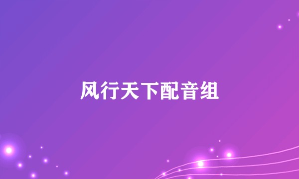 风行天下配音组