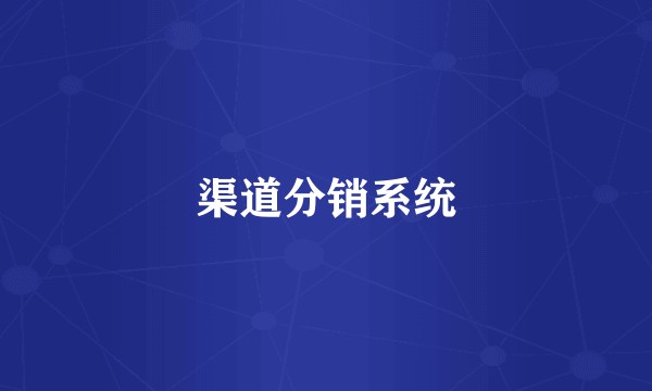 渠道分销系统