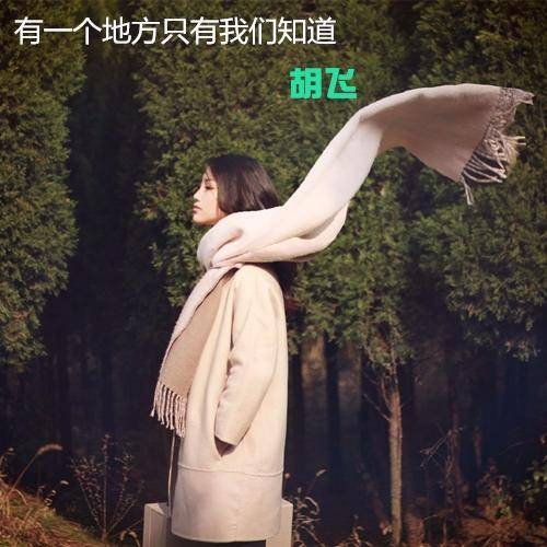 有一个地方只有我们知道（2016年胡飞演唱的歌曲）