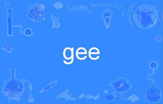 gee（词语解释）