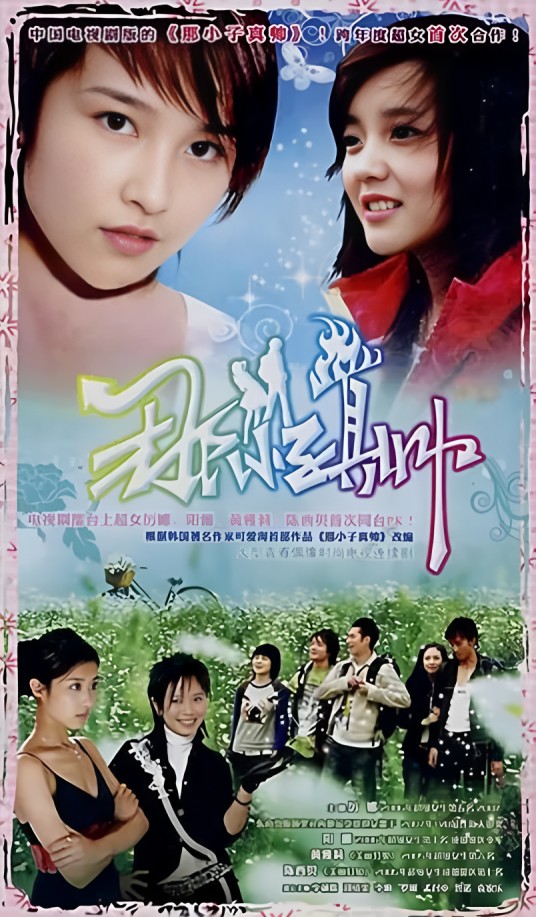 那小子真帅(2008年中国电视剧版)