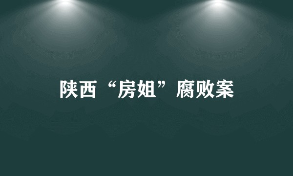 陕西“房姐”腐败案