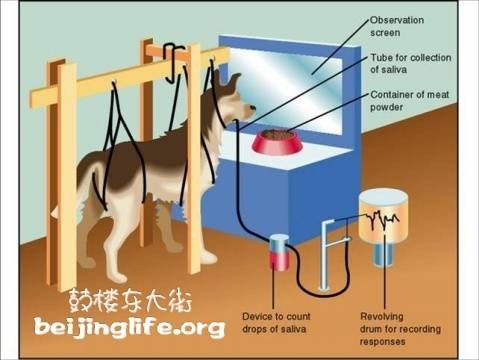 条件反射