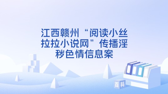江西赣州“阅读小丝拉拉小说网”传播淫秽色情信息案