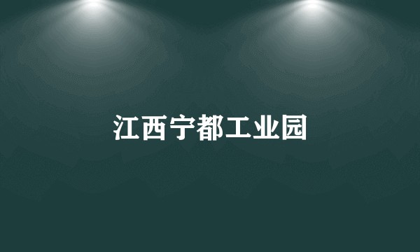江西宁都工业园
