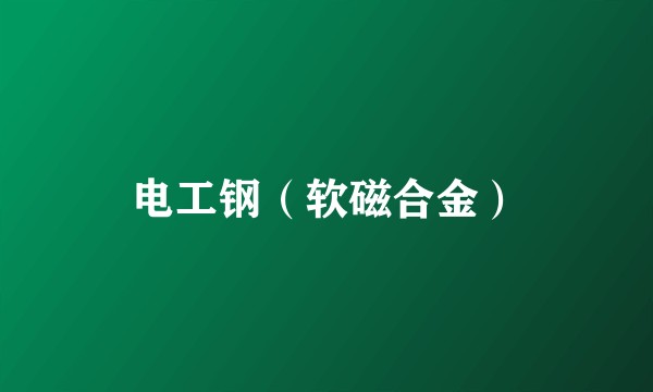 电工钢（软磁合金）