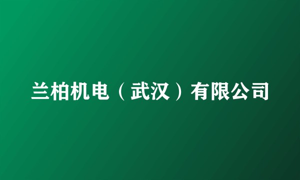 兰柏机电(武汉)有限公司