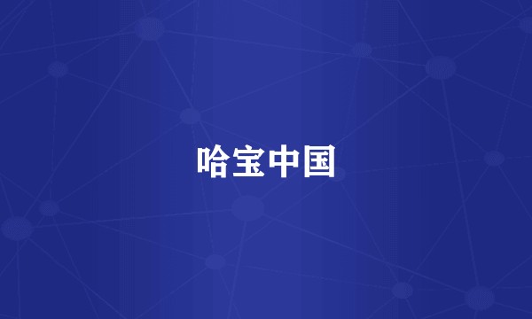 哈宝中国
