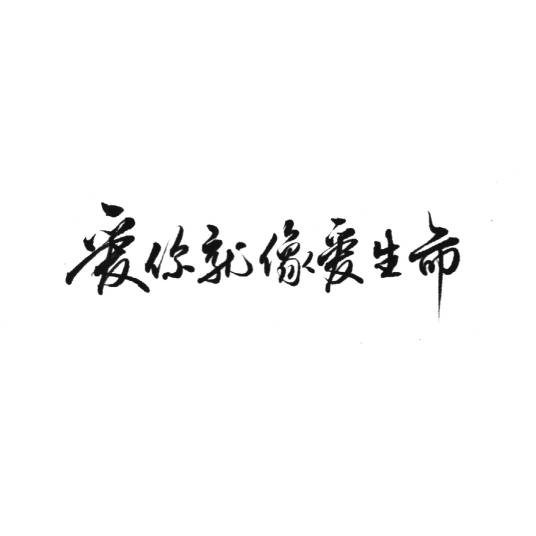 爱你就像爱生命（房东的猫演唱的民谣歌曲）