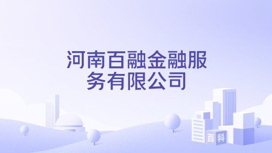 河南百融金融服务有限公司