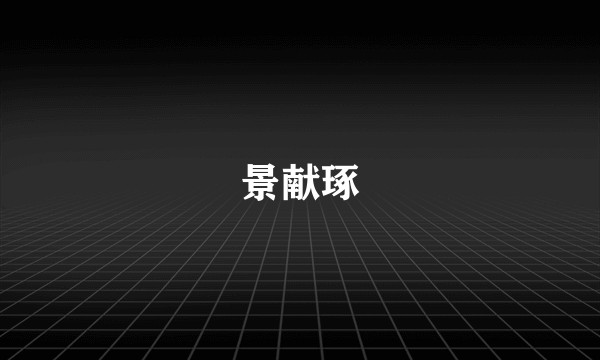 景献琢