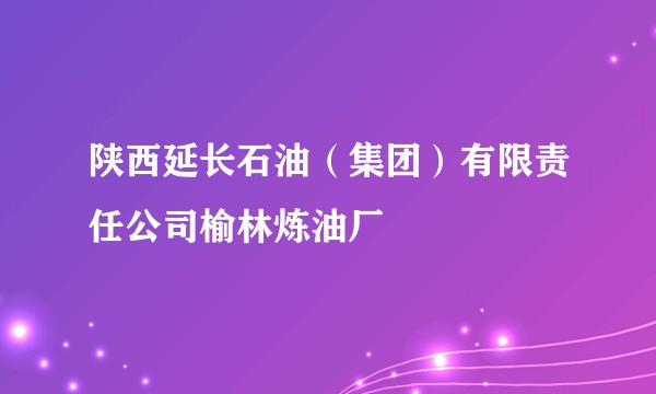 陕西延长石油（集团）有限责任公司榆林炼油厂