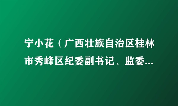 宁小花（广西壮族自治区桂林市秀峰区纪委副书记、监委副主任）