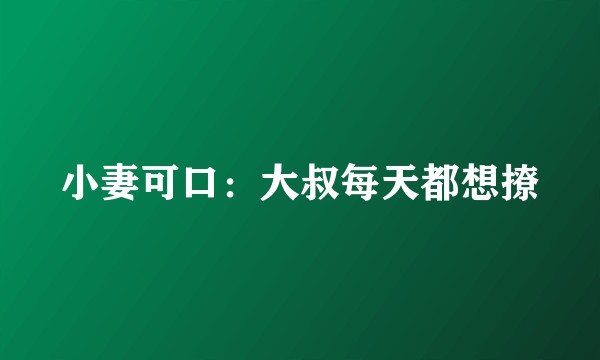 小妻可口：大叔每天都想撩
