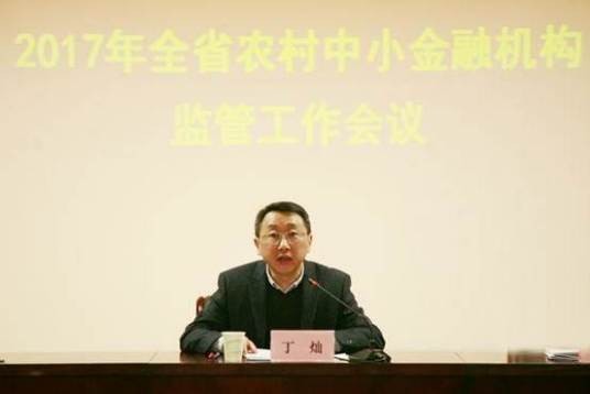 丁灿（国家金融监督管理总局江苏监管局二级巡视员）