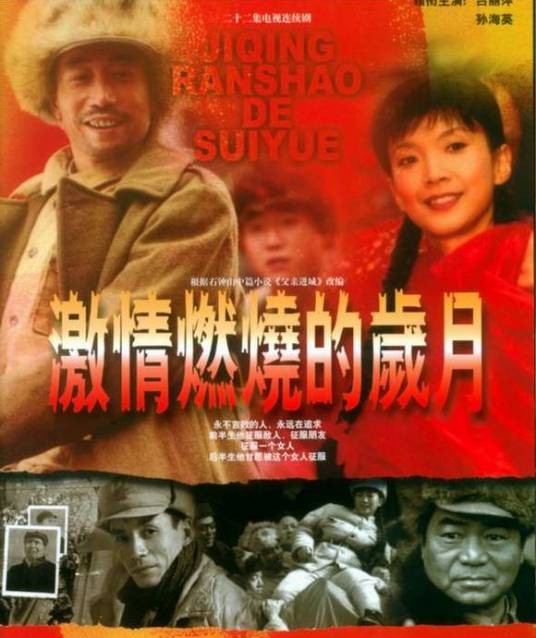 激情燃烧的岁月（2001年康洪雷导演的战争剧）