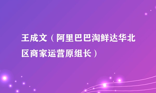 王成文（阿里巴巴淘鲜达华北区商家运营原组长）